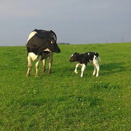 Ferienhaus Ferme De La Porte En Aix Aix-en-Issart